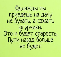 Дачный сезон . Смешные картинки