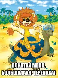 В Южной Америке найдены останки панциря древней черепахи