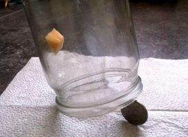 Самая простая мышеловка, приманку только делал: кусочек хлеба и клеил его на стенку с помощью сливочного масла.
Из минусов, при малейшем колебании срабатывает, поэтому ставить соответственно