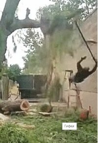 Ответный удар!