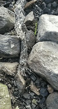 Что ЭТО???