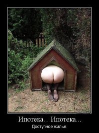 Прикольные и интересные картинки