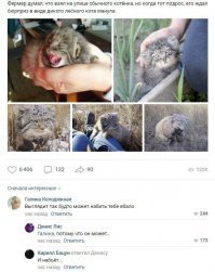 Прикольные и интересные картинки