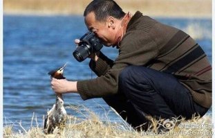 Утка по-пекински...