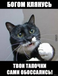Прикольные и интересные картинки
