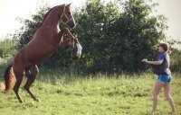 О! А это мысль!... Впрочем я не настаиваю, можно и на семенные железы взглянуть.