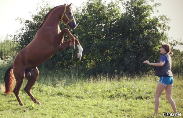 О! А это мысль!... Впрочем я не настаиваю, можно и на семенные железы взглянуть.