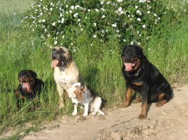 Надо было нас позвать. Мы бы пришли.