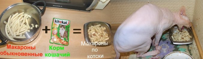 Картинки с надписями
