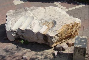 20 правдивых фото, которые напомнят вам о беспощадности времени