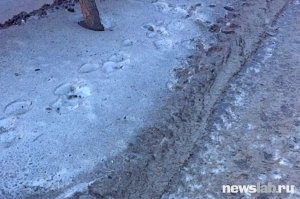 В Красноярске самый черный снег из за угольной ТЭЦ.