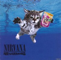 Зачем котёнку доллар?