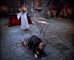 Подборка котов проказников, нашкодившие коты