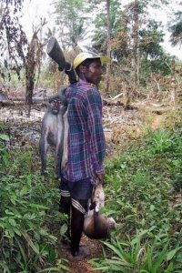 Прикольные и интересные картинки