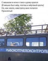 Нетрадиционные рифмы, смешные рифмы к надписям