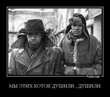 Идеальный союз: мужчины и их коты