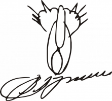 Прикольные и интересные картинки