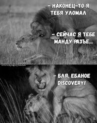 Активист потребовал закрыть выставку со спаривающимися чучелами животных