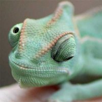 Ад для перфекциониста: от такого дизайна у кого-то может задергаться глаз