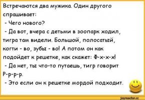 Смешные картинки из соц сетей