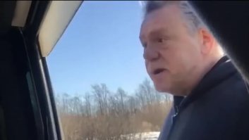 Напуганный лось попытался атаковать автомобиль