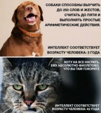 Прикольные и смешные картинки