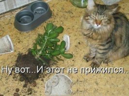 Требования лучше выполнять, пока угрозы не приведены в исполнение))