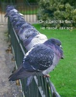 "Этот парень был из тех, кто задом наперёд..."