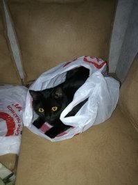 А это наша красавица