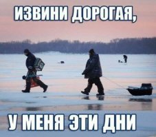 Прикольные и смешные картинки
