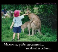 Активист потребовал закрыть выставку со спаривающимися чучелами животных