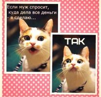 Прикольные и интересные картинки