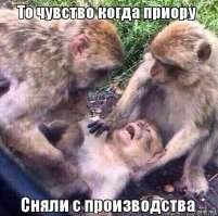 Прикольные и интересные картинки