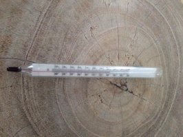 Эта штука показывает температуру без нажатия на кнопки, зарядки от розетки, предварительного обучения и излишних затрат. Срок службы не ограничен, старый советский с запаянной колбой и стеклянной шкалой практически вечен, если не разбить.