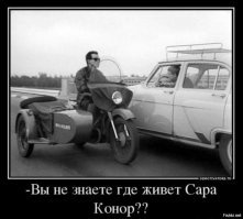 Веселые коллажики