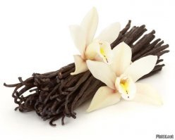 Геймер сделал предложение своей девушке в компьютерной игре