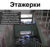 в 99% случаев это сами же жильцы этого подъезда.