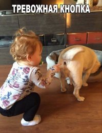 21 милое доказательство того, что каждому ребенку нужна собака