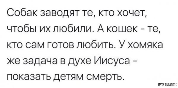 Хотите завести собаку? Сперва прочтите это!