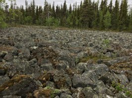 Колёса видно не только у нас снимают.
Весь комизм ситуации в том, что фото фото сделано на одном из горных озёр глубоко на севере Швеции ( 70 км. не доезжая полярного круга). На втором фото "каменная река" - завораживающее зрелище.