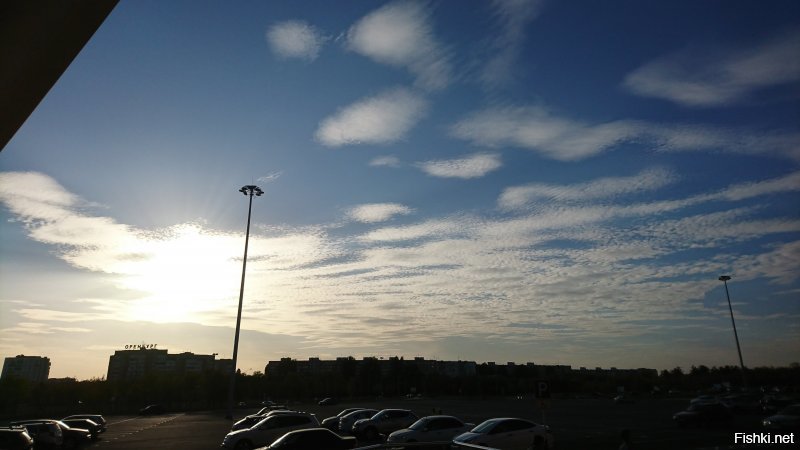 Малая часть моих мобильных снимков )