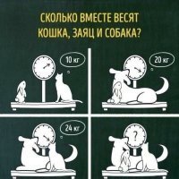 заяц - 3 кг
кошка - 7 кг
собака 17 кг
вместе 27 кг... да будет срач!