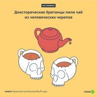 Интересно, а где они чайный лист брали?