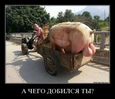 Прикольные и интересные картинки