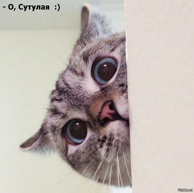 Солянка от 21.02.2020