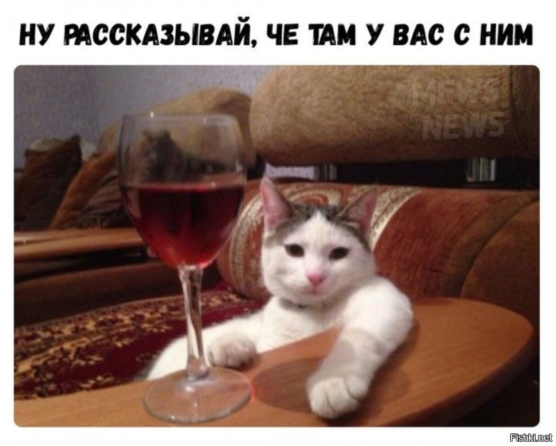 Солянка от 21.02.2020