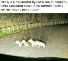 Прикольные и интересные картинки