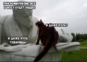 20 забавных хвостатых, которые решились на беспощадный "кусь"