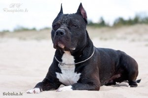 Прикольные и интересные картинки