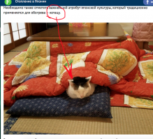 Отопление в Японии